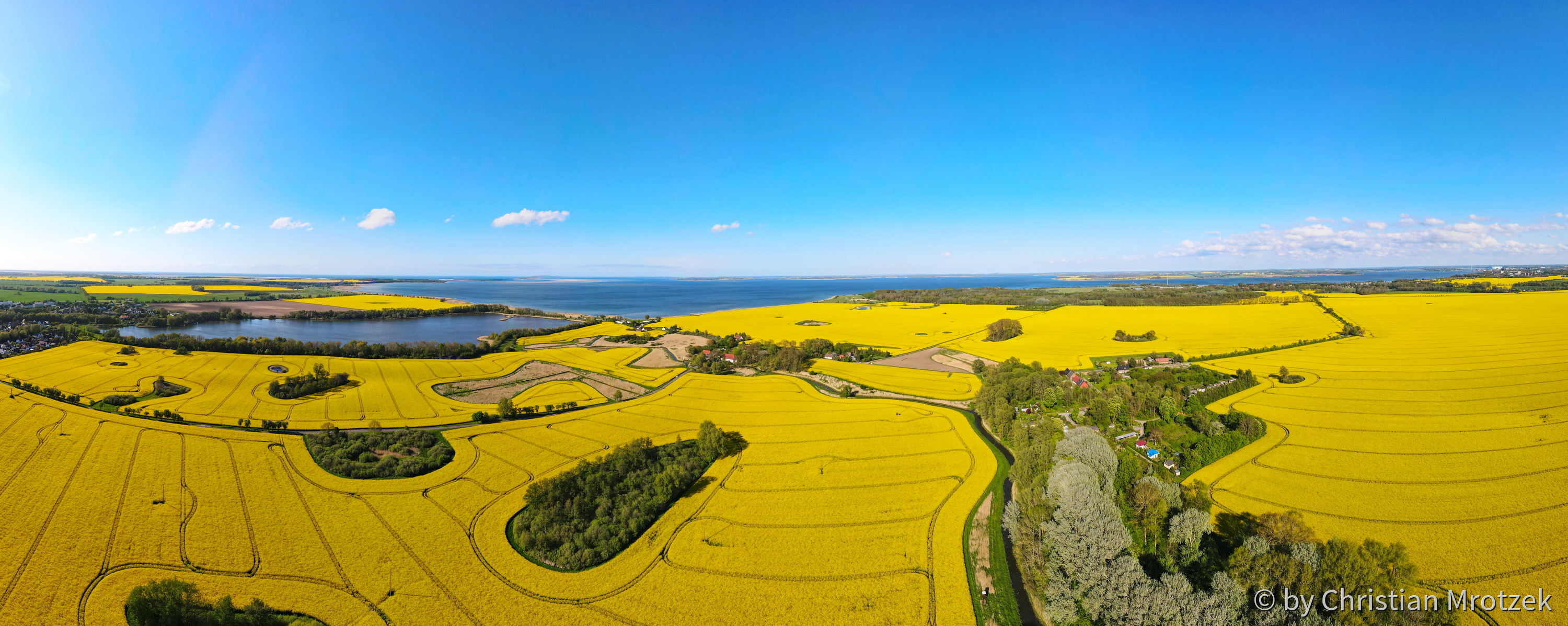 Panoramabild Rapsfelder im Mai 2021