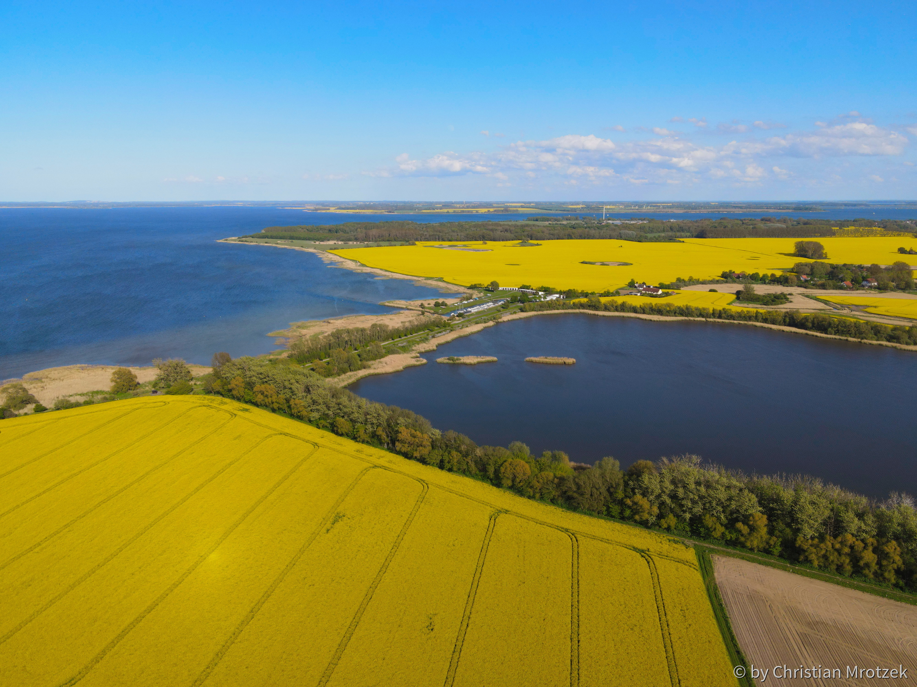 Rapsfelder im Mai 2021 / Prohner Stausee