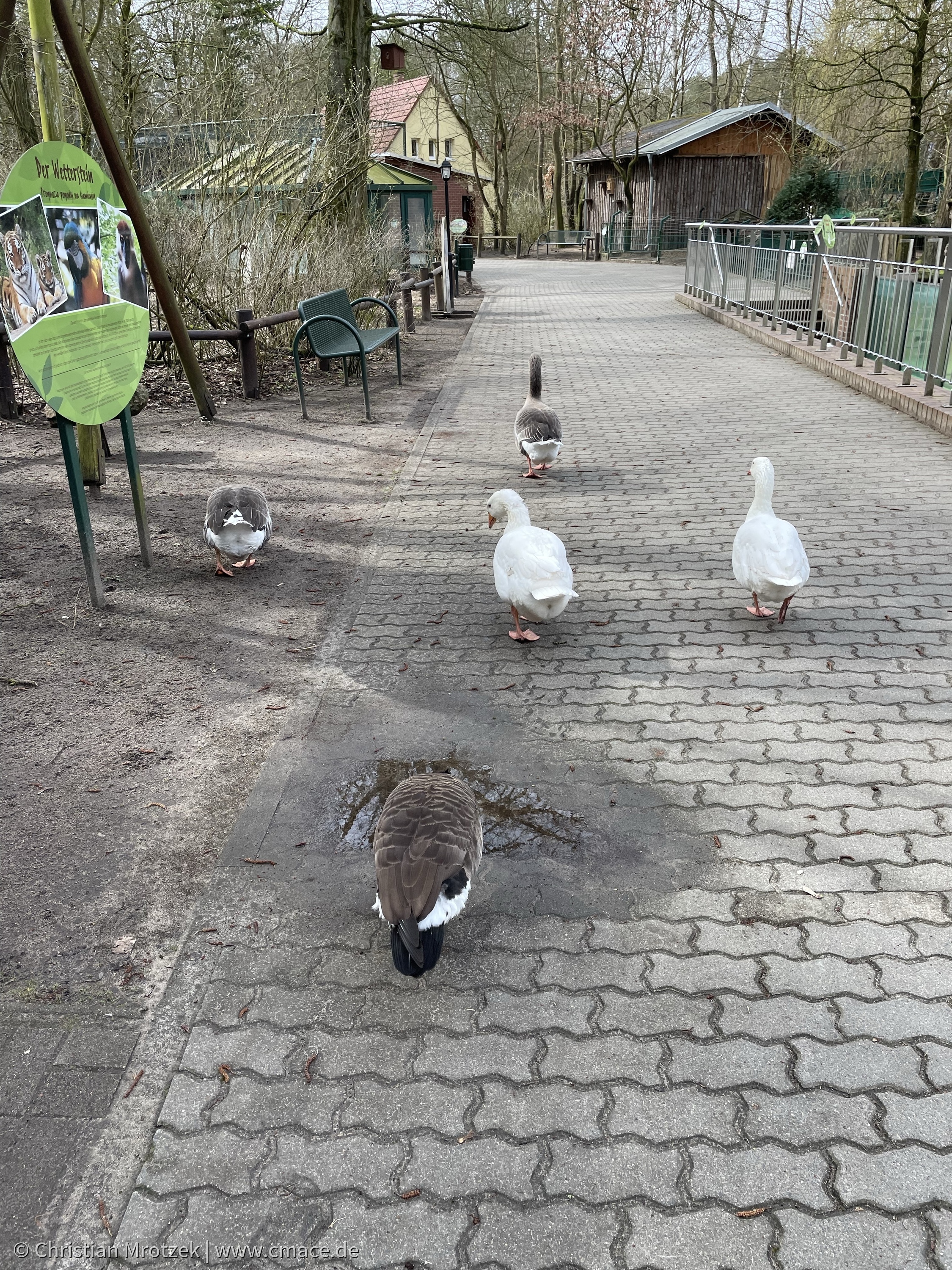 Im Gänsemarsch hinterher :)