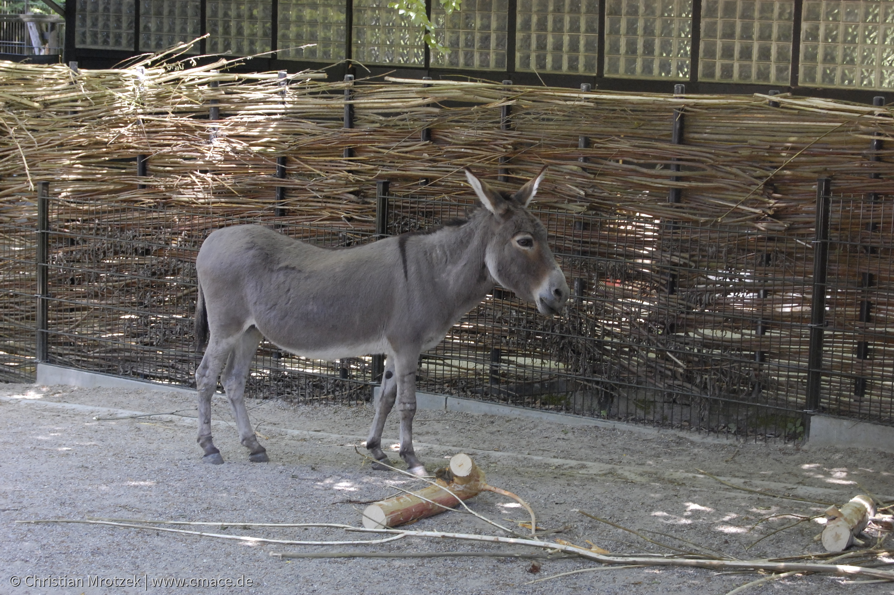 Rostock Zoo (2008)