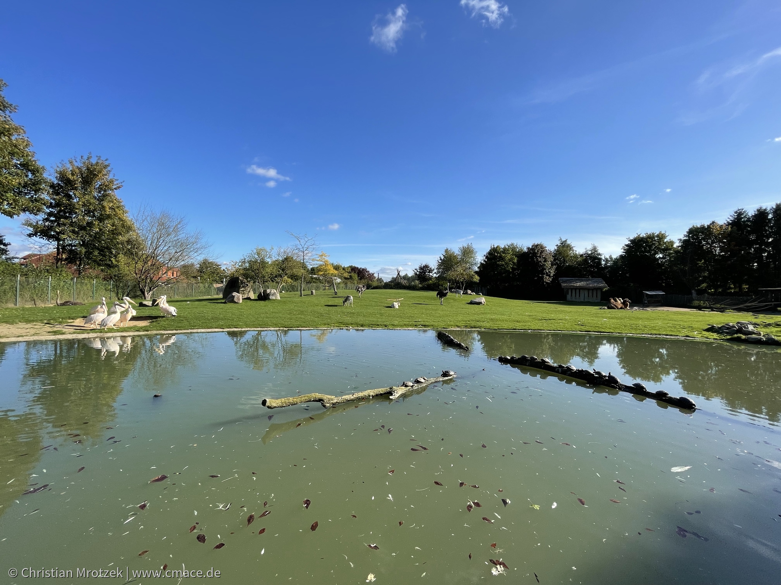 Vogelpark Marlow