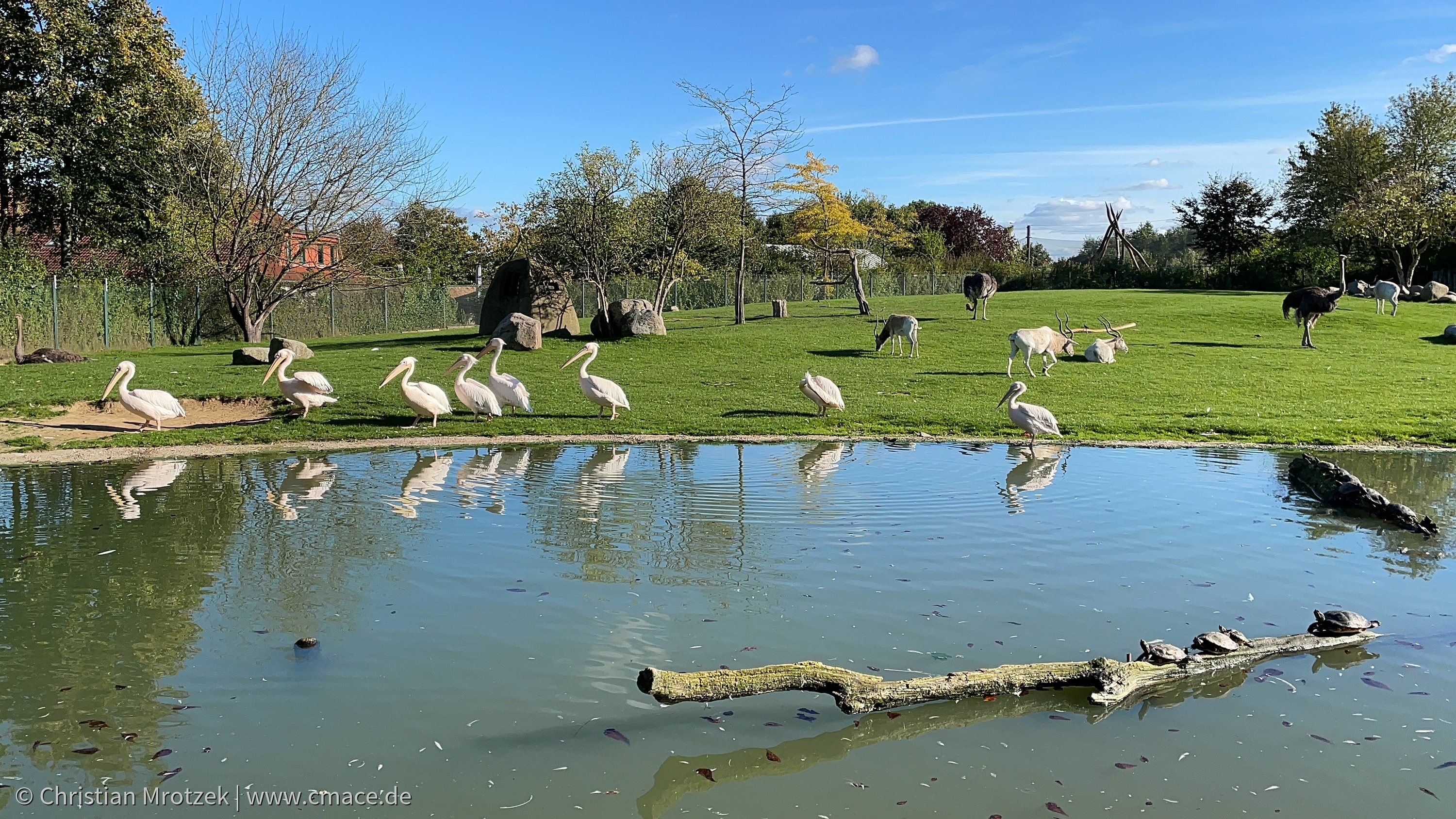 Vogelpark Marlow