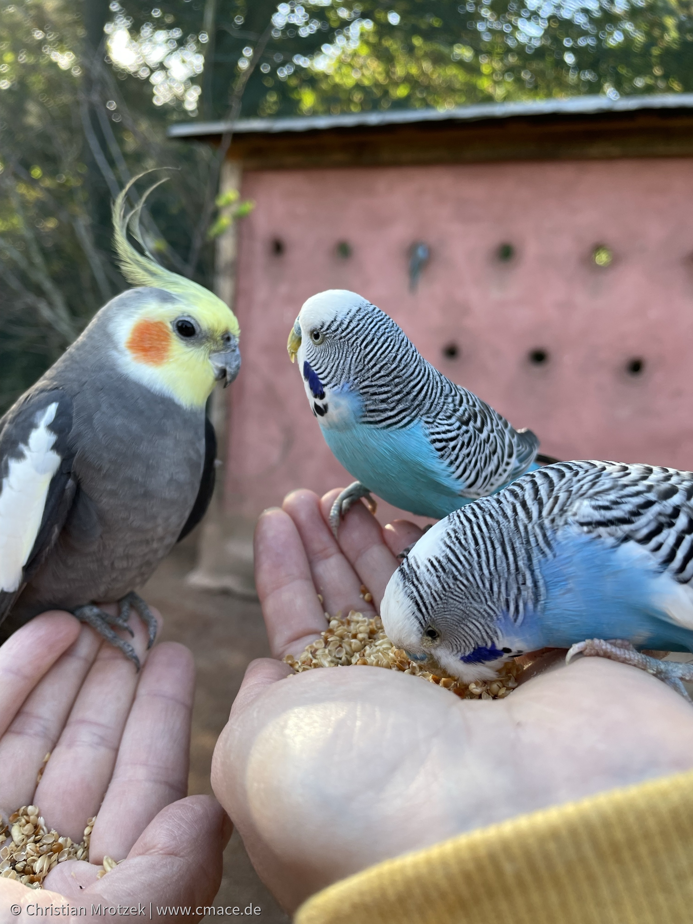 Vogelpark Marlow