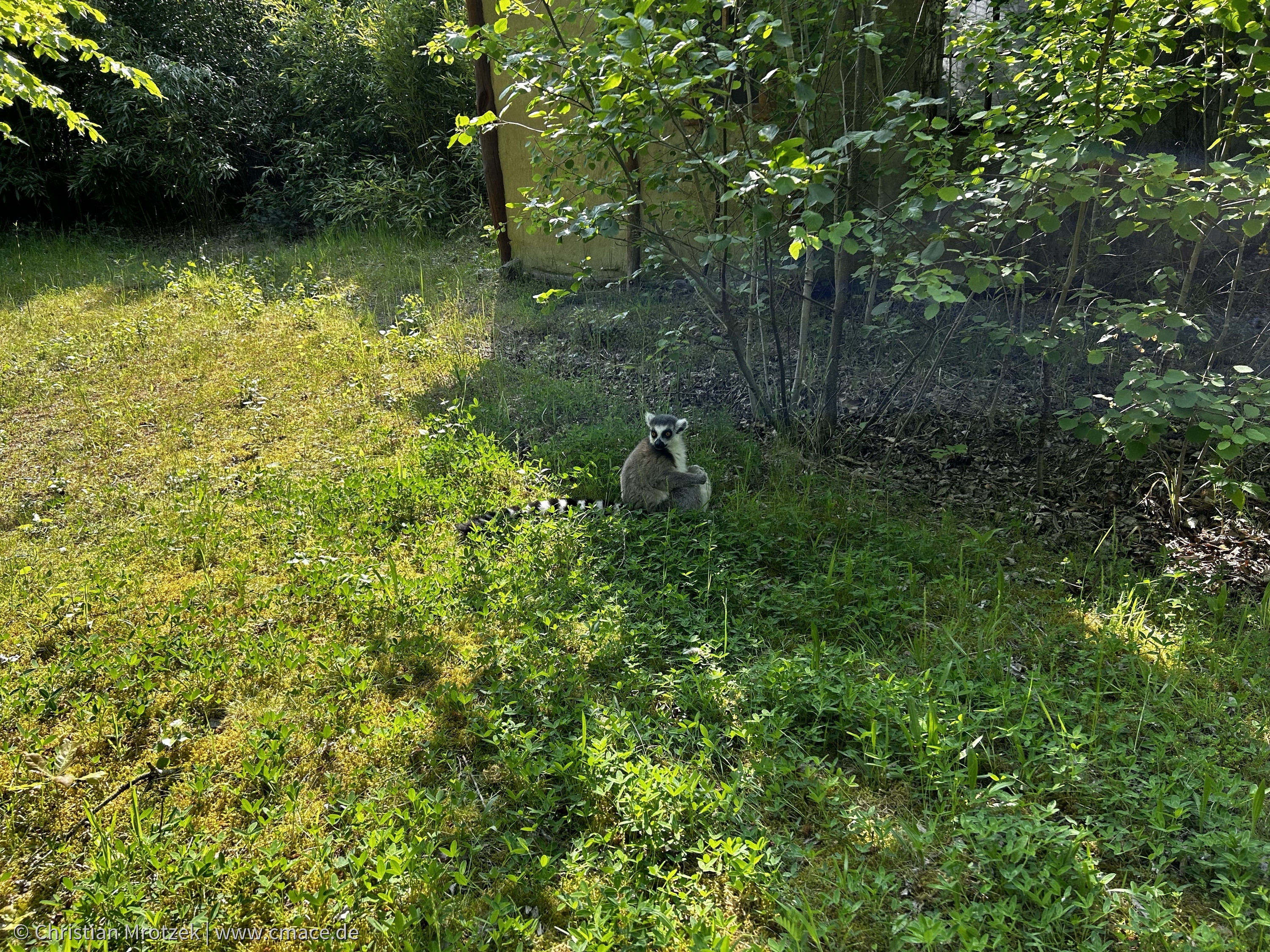 Vogelpark Marlow