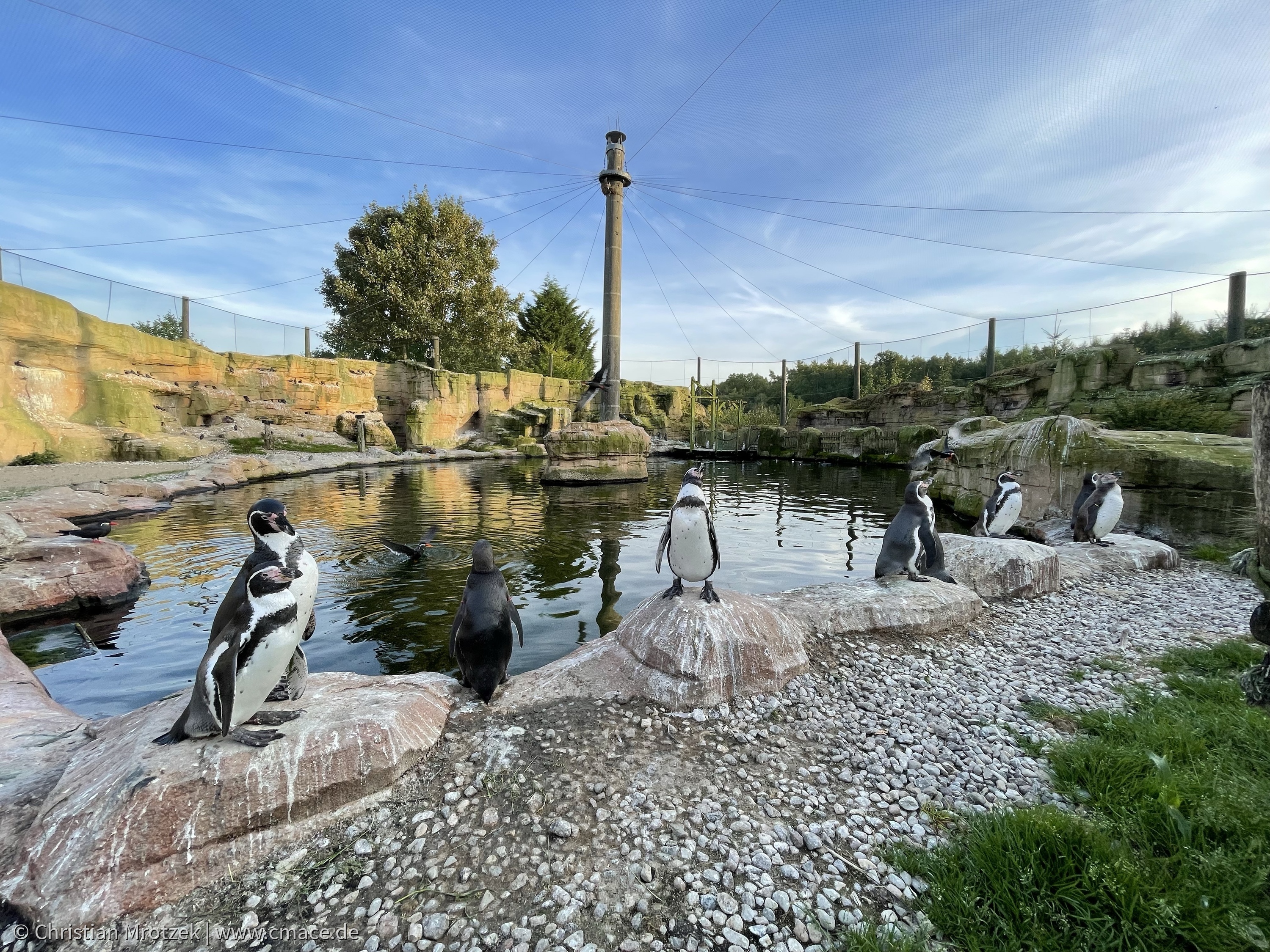 Vogelpark Marlow