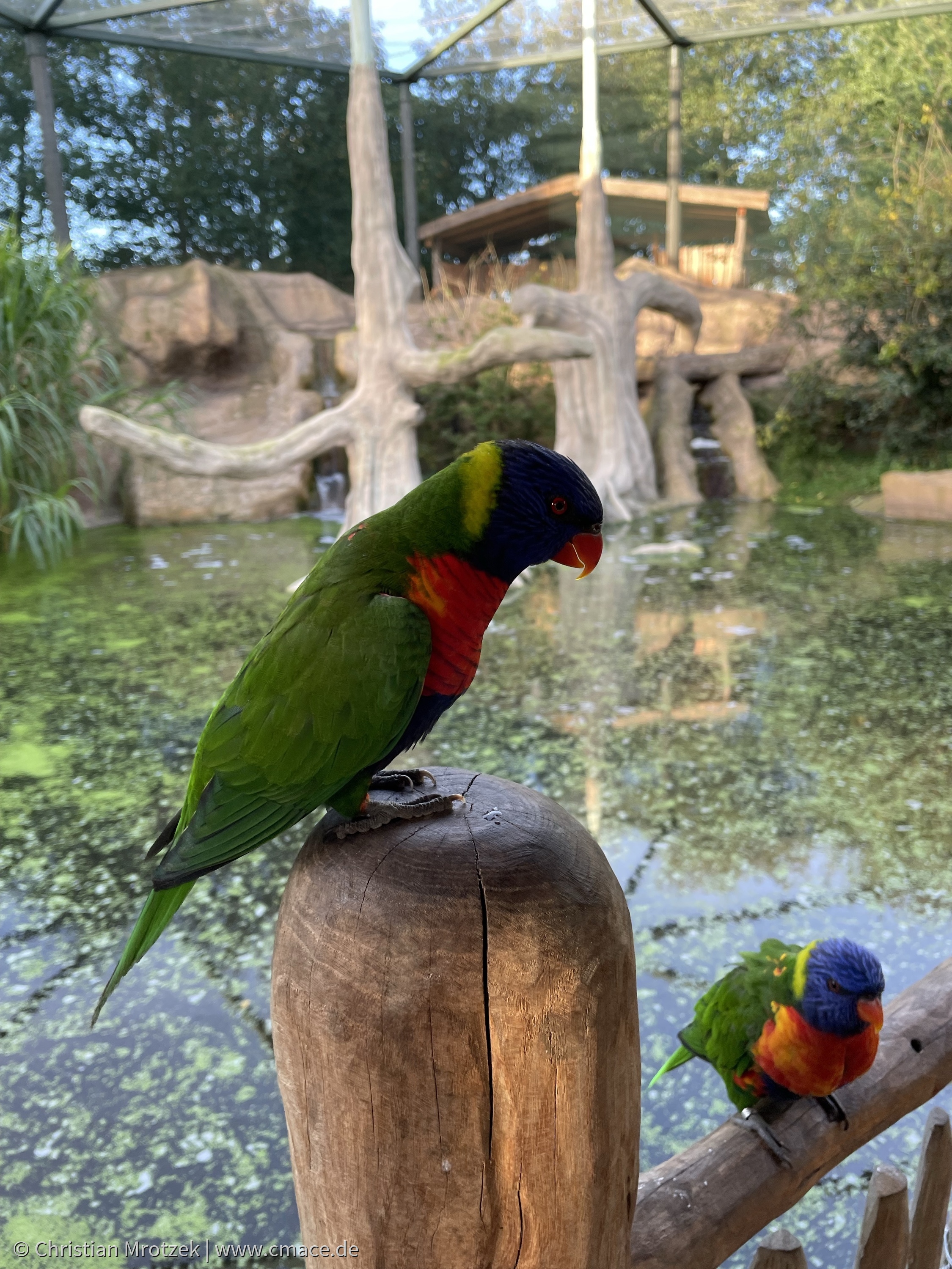 Vogelpark Marlow