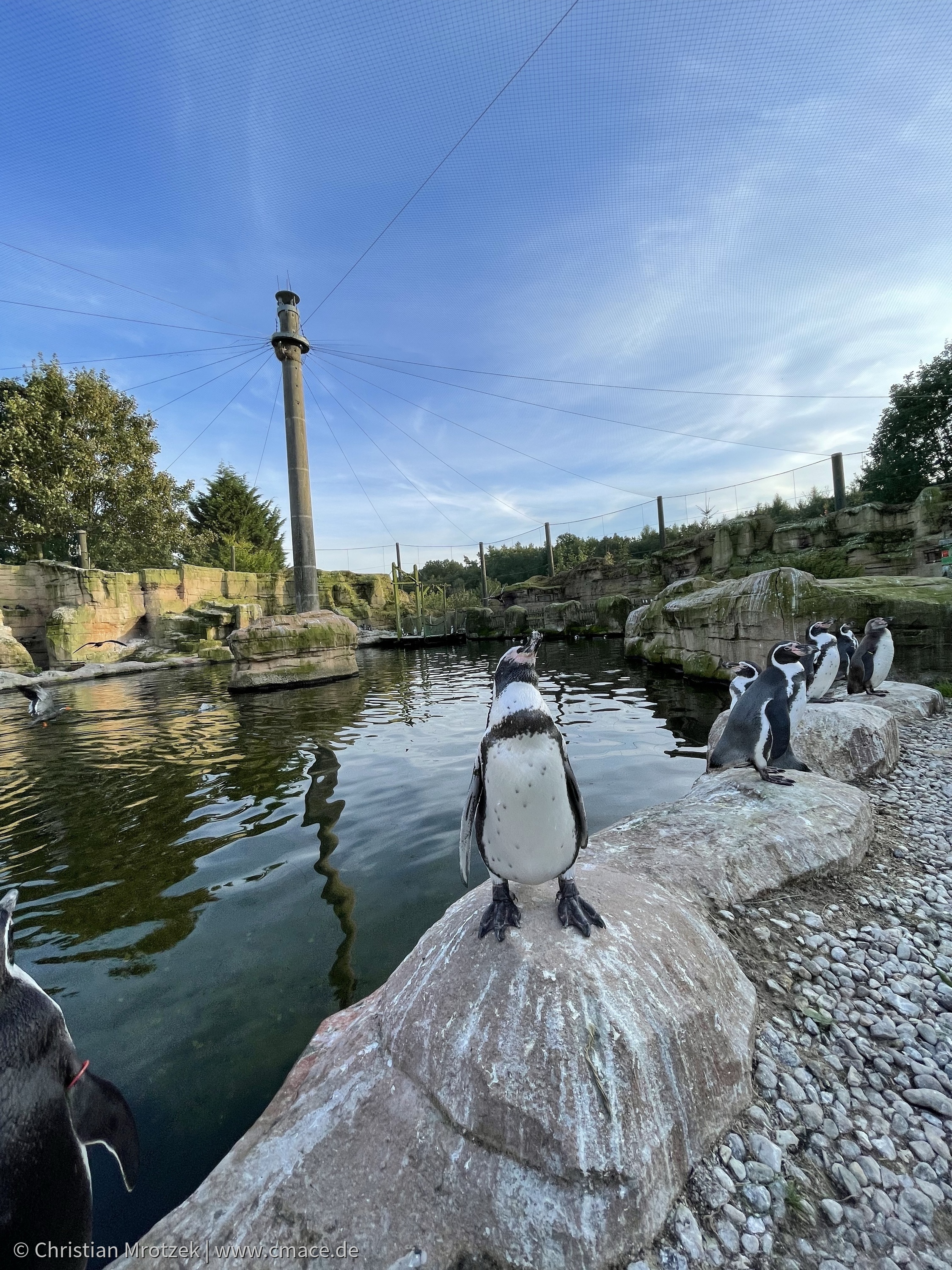 Vogelpark Marlow