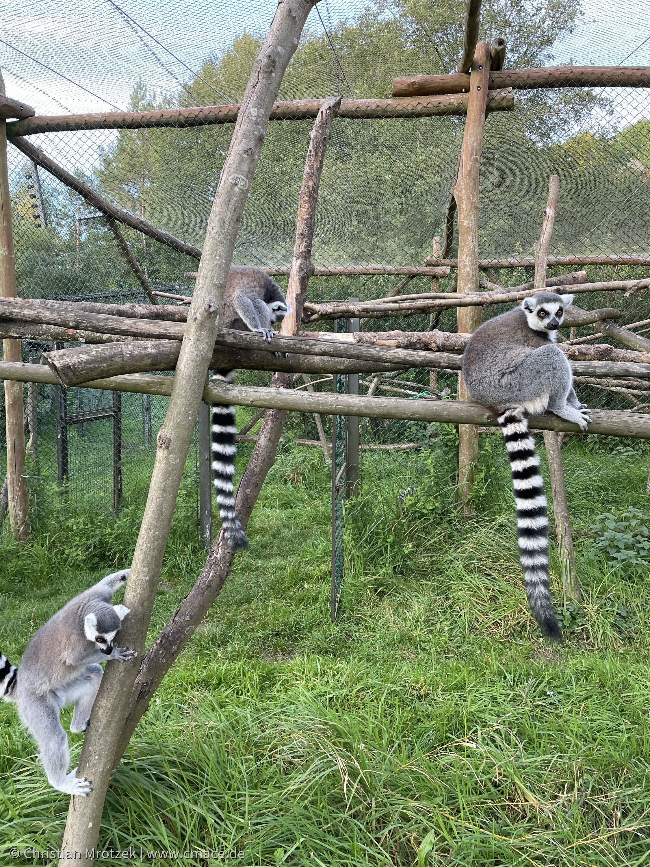 Vogelpark Marlow