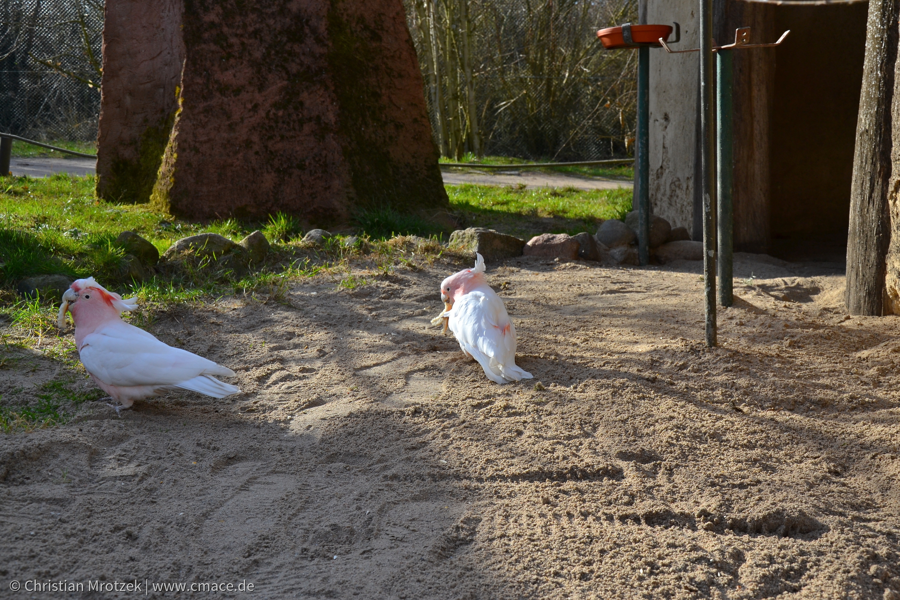 Vogelpark Marlow