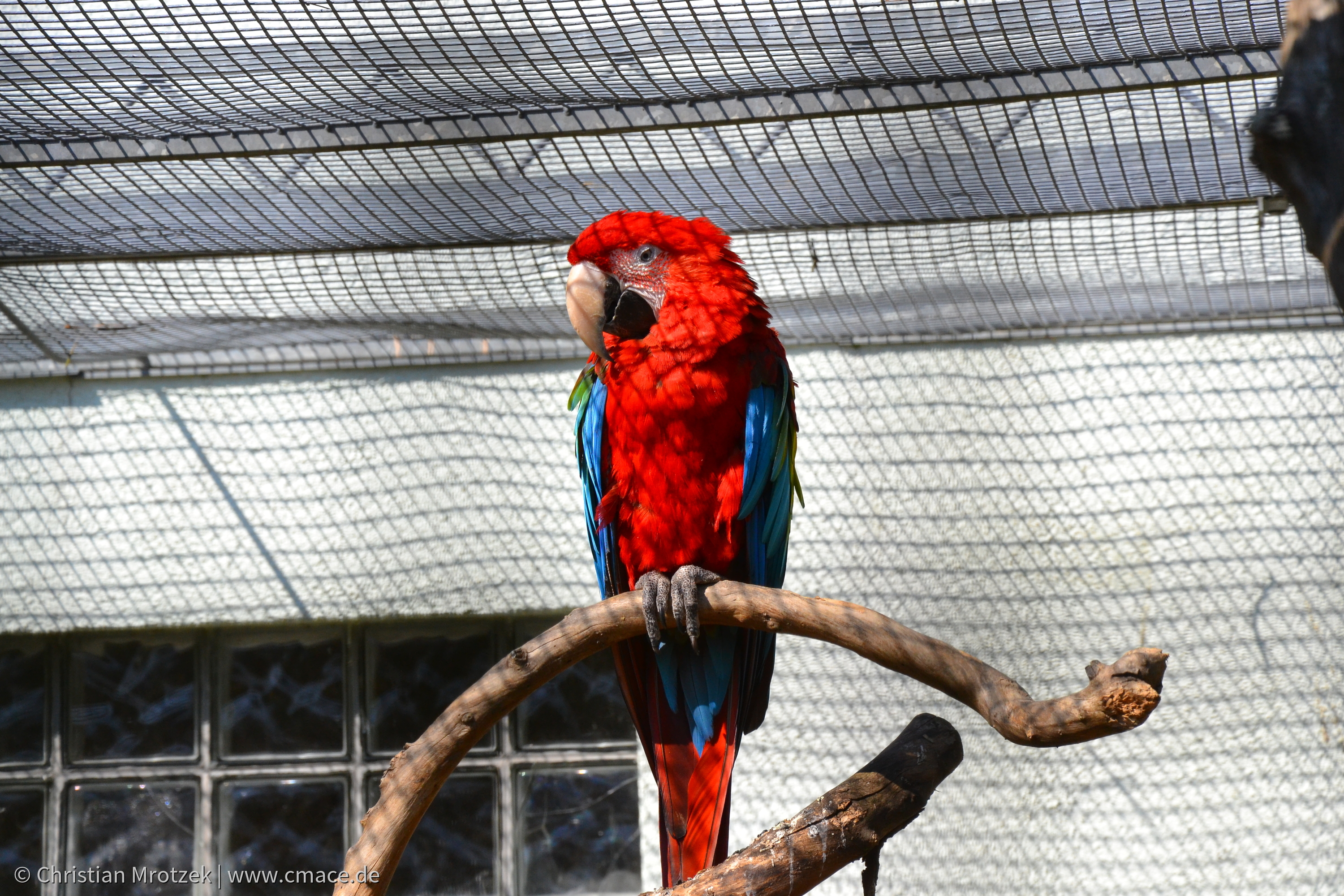 Vogelpark Marlow