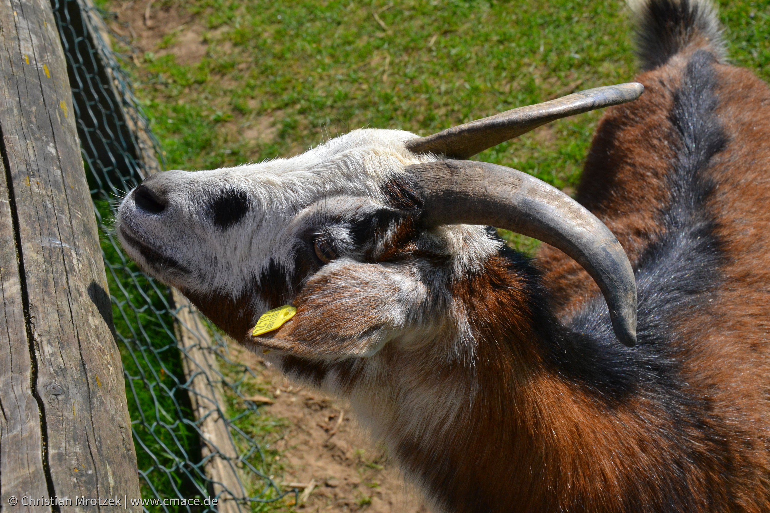 Vogelpark Marlow