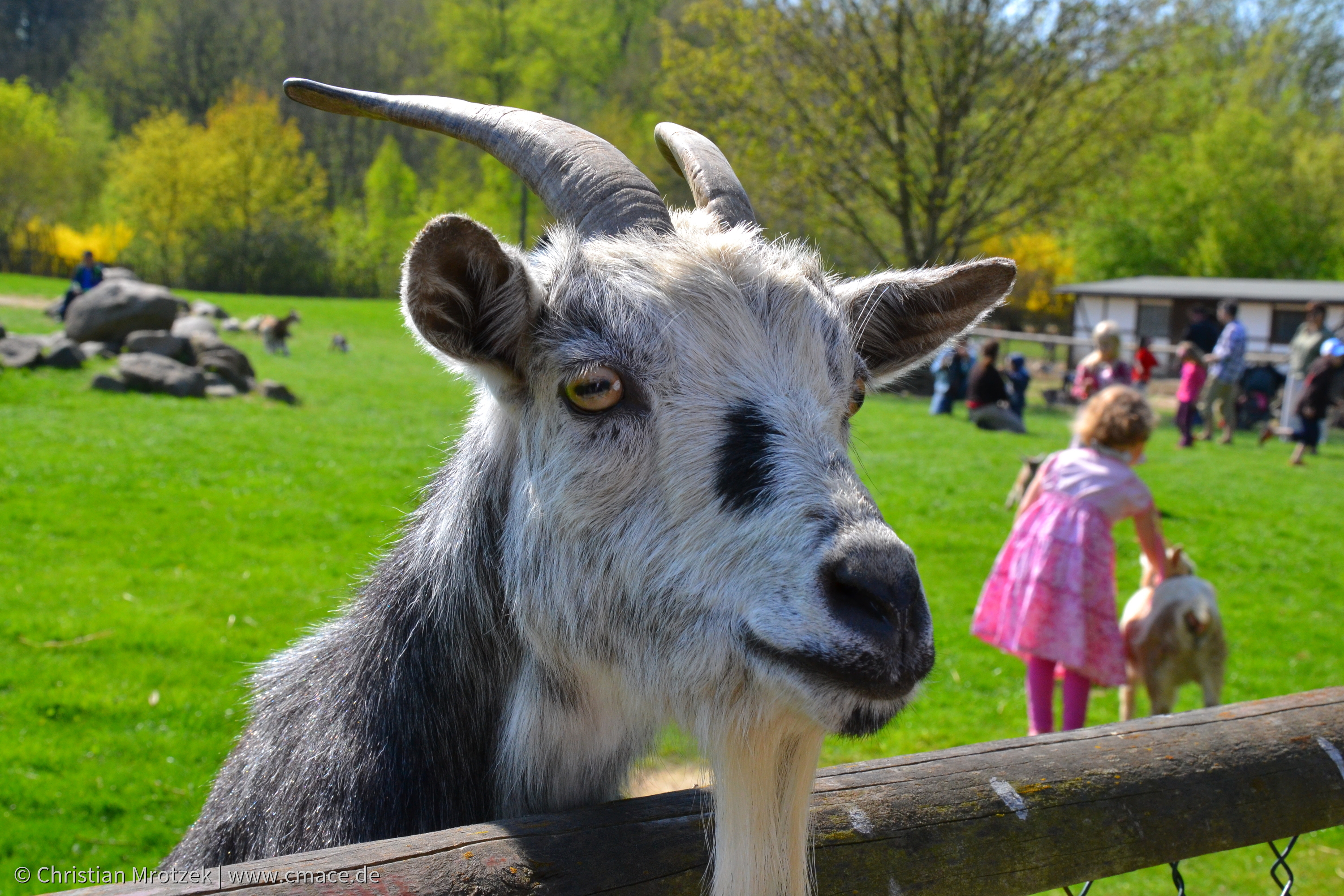 Vogelpark Marlow