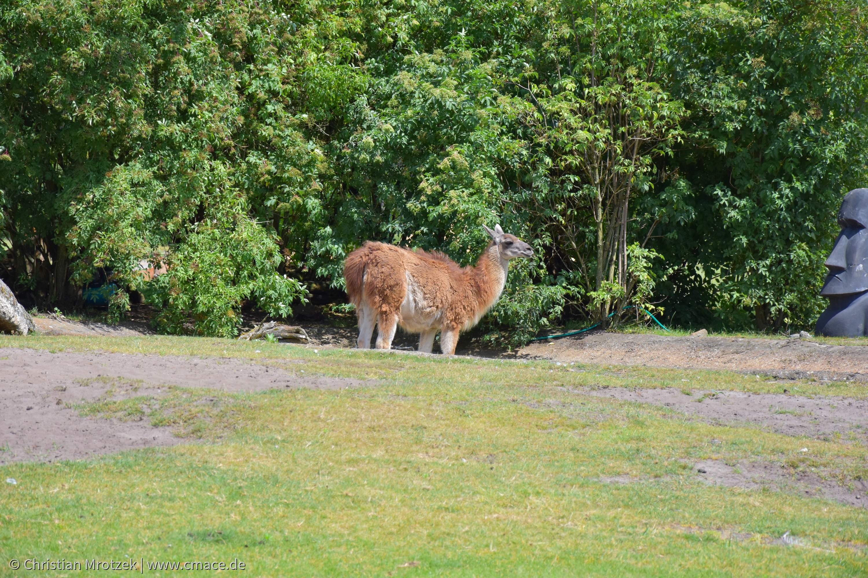 Serengeti Park (2024)