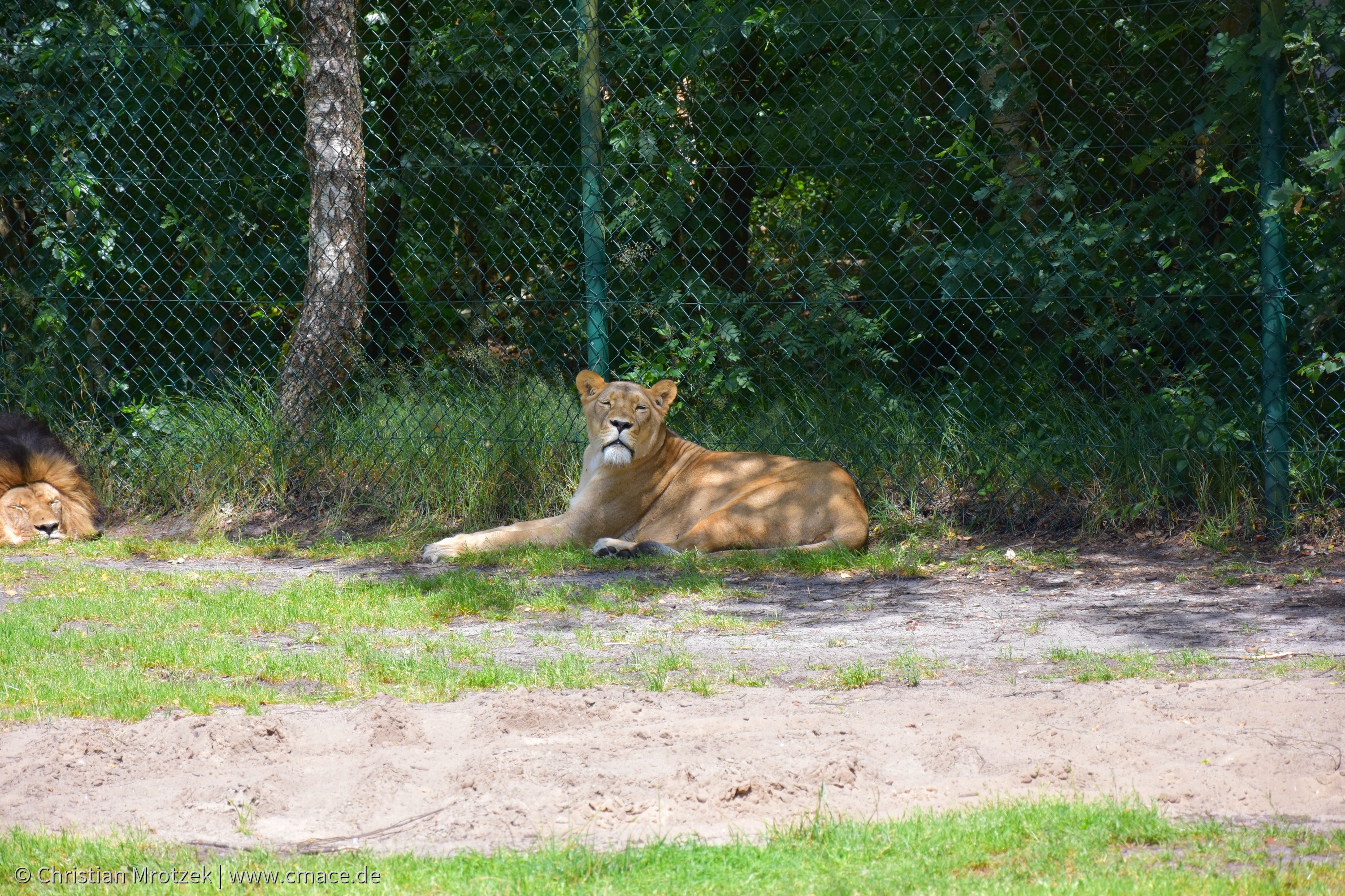 Serengeti Park (2024)