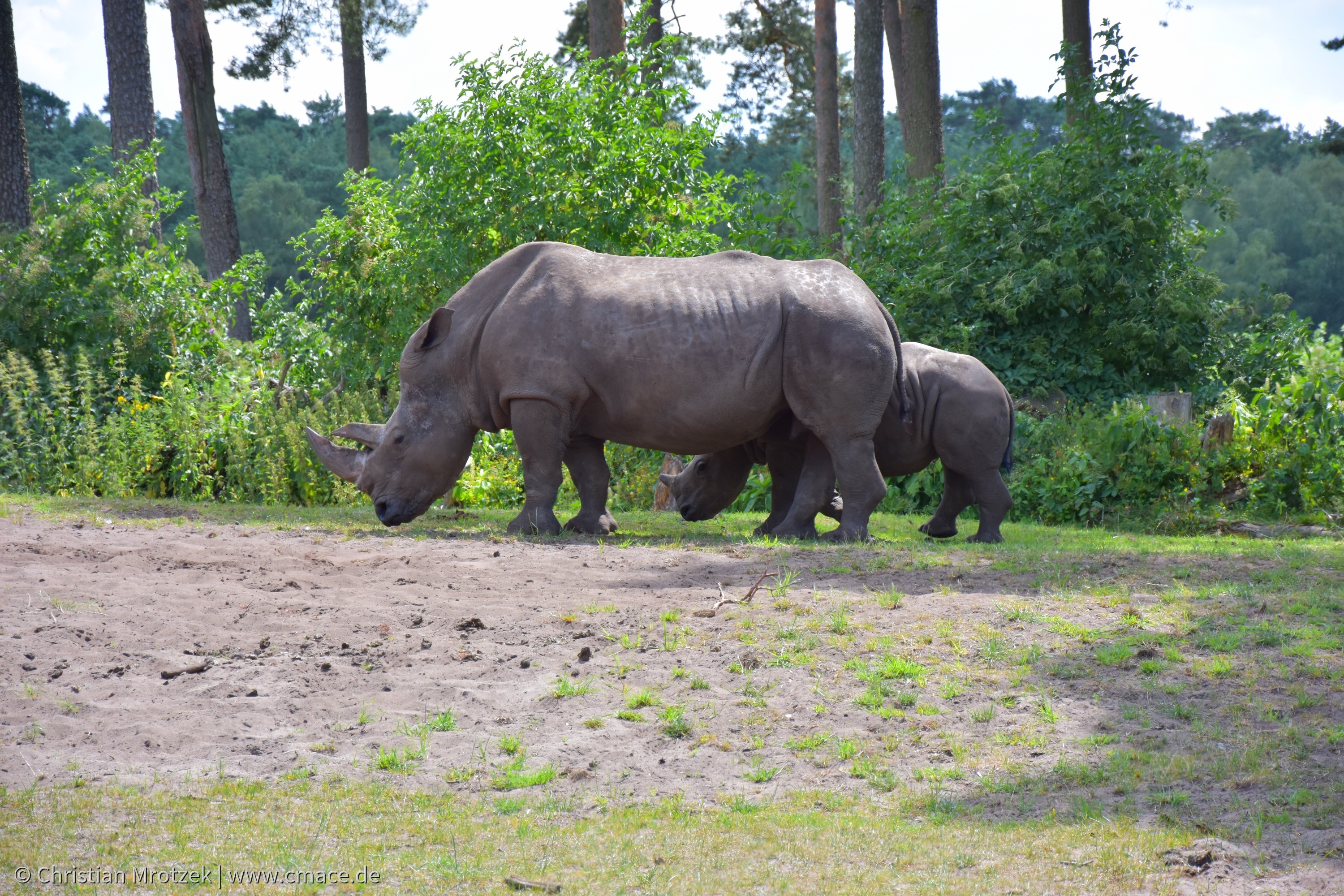 Serengeti Park (2024)