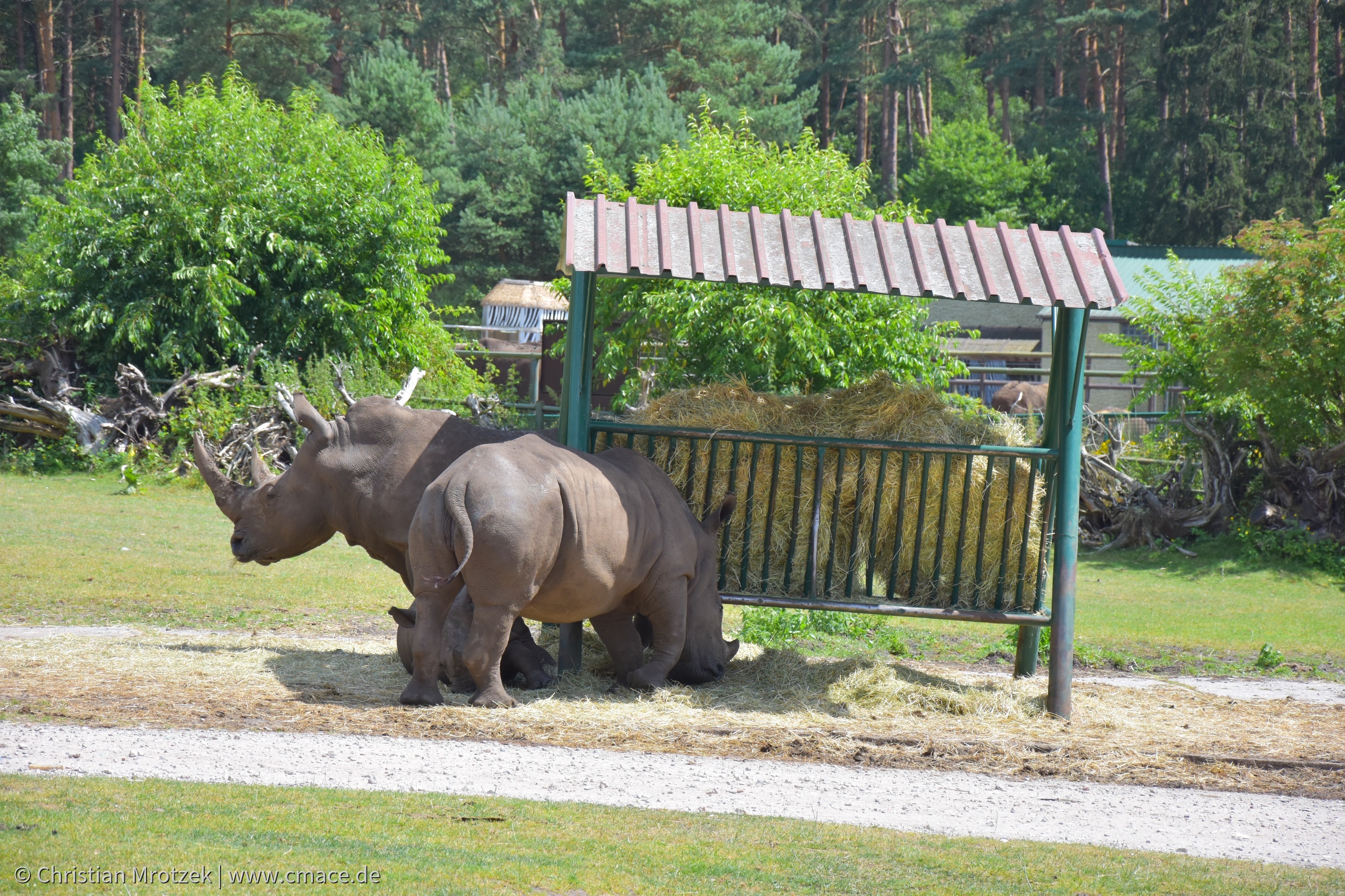 Serengeti Park (2024)