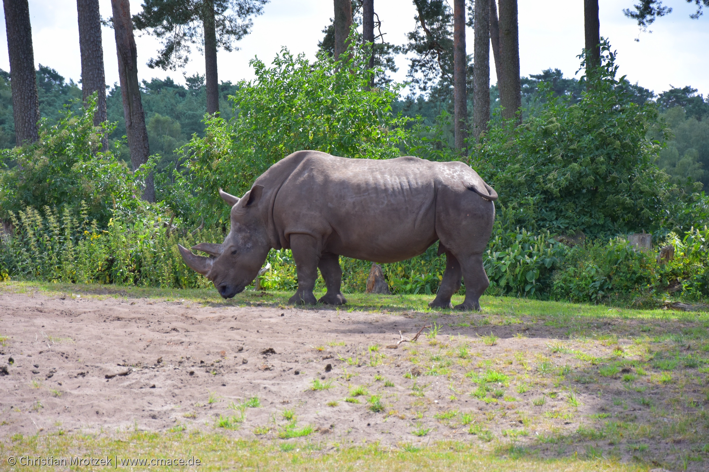 Serengeti Park (2024)