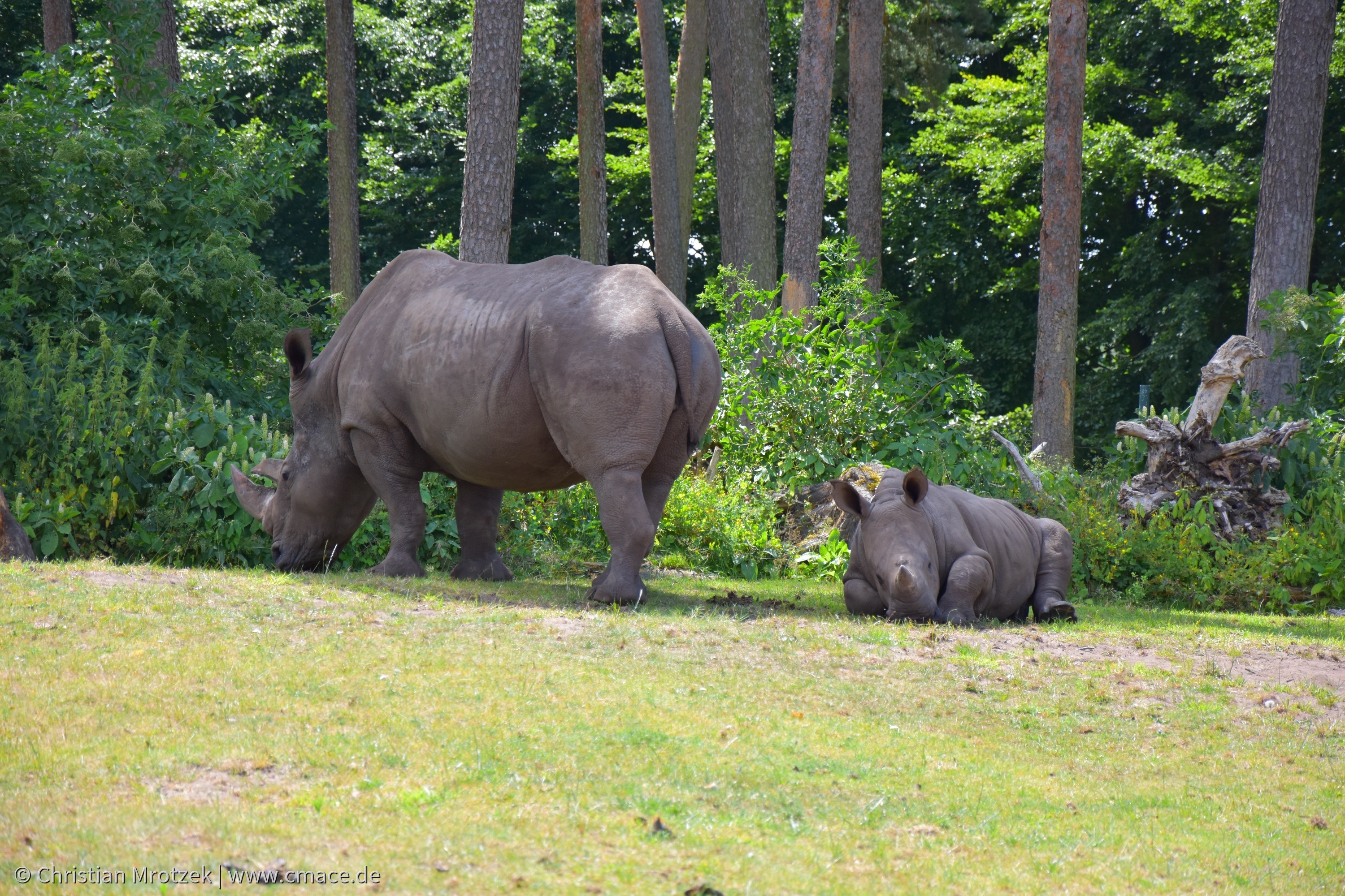 Serengeti Park (2024)