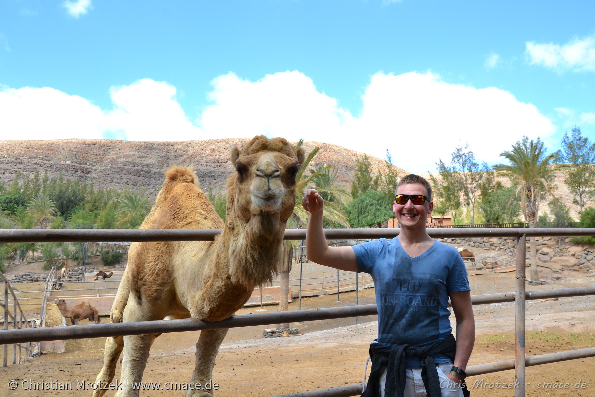 Sommerurlaub im Winter - Fuerteventura