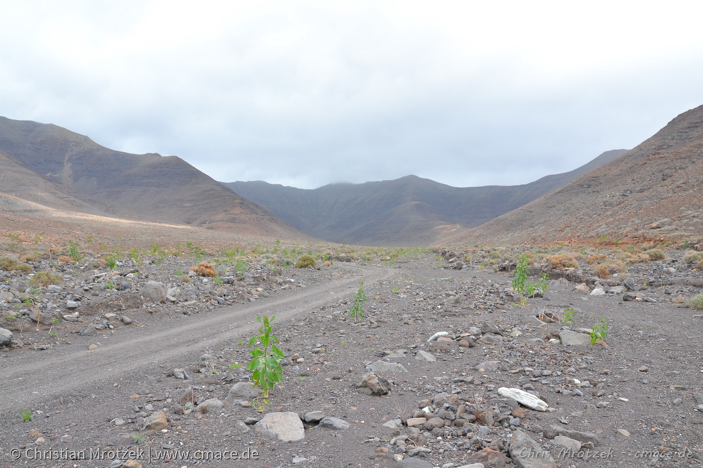 Sommerurlaub im Winter - Fuerteventura