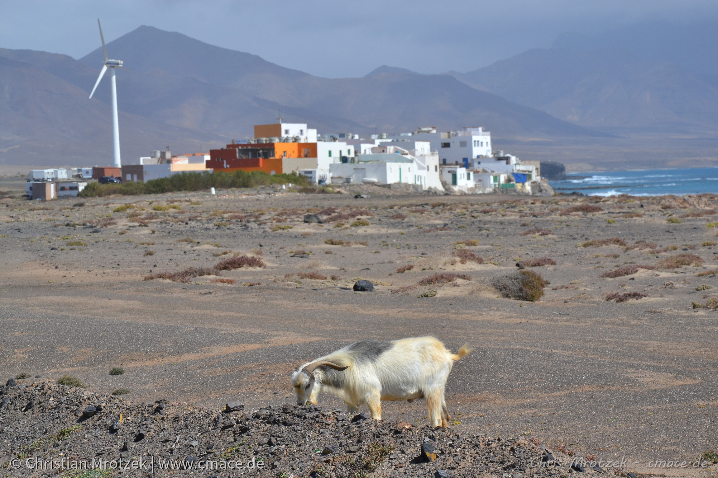 Sommerurlaub im Winter - Fuerteventura