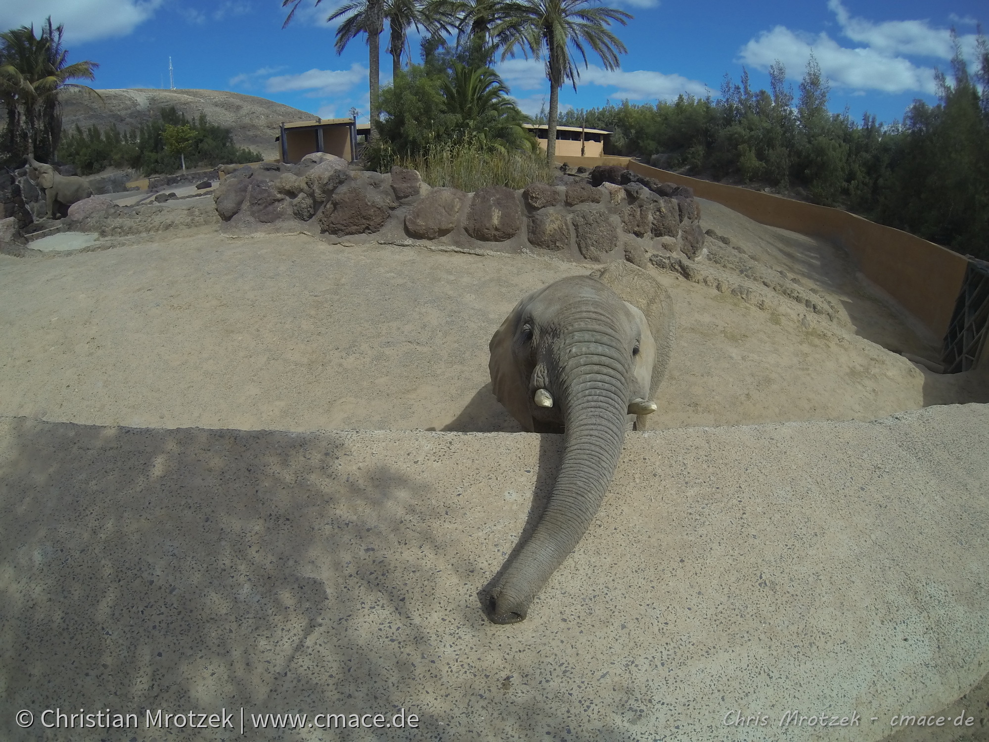 Sommerurlaub im Winter - Fuerteventura