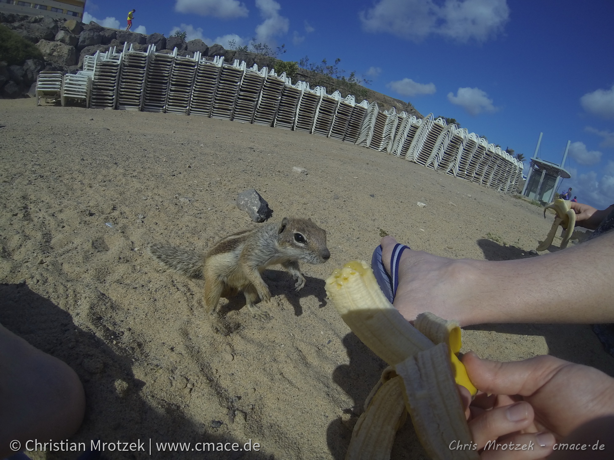 Sommerurlaub im Winter - Fuerteventura