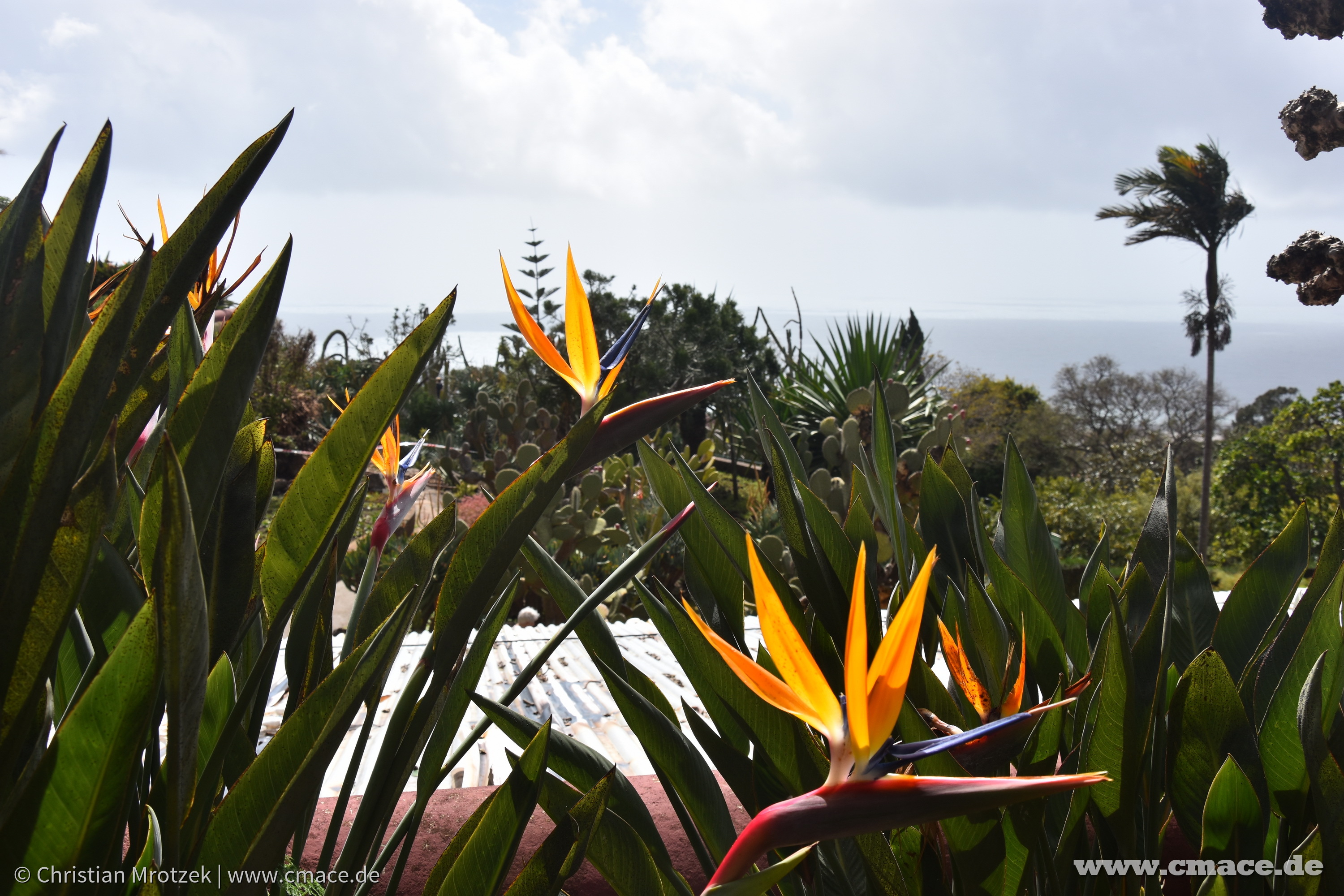 Urlaub auf Madeira