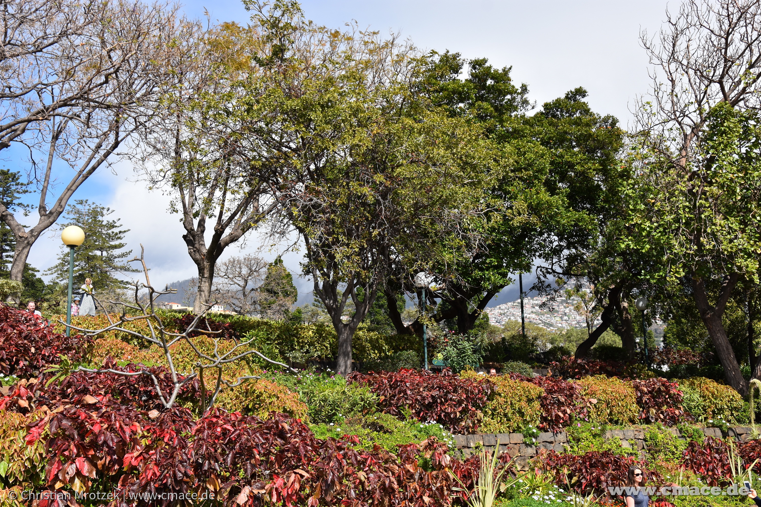 Urlaub auf Madeira