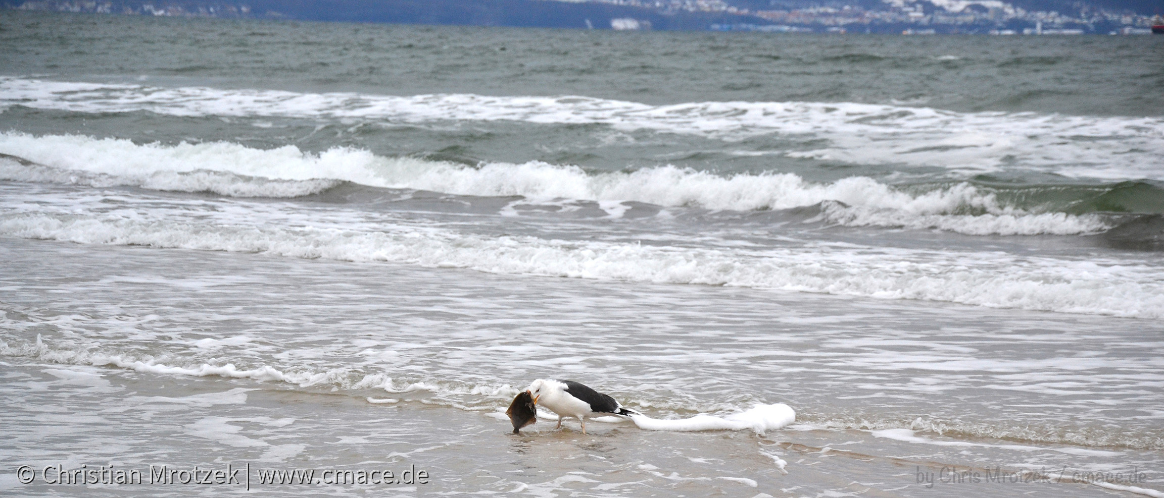 Binz im Januar nach einer Sturmflut (2017)