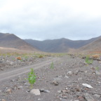 Sommerurlaub im Winter - Fuerteventura