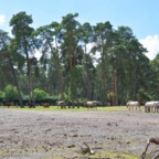 Serengeti Park (2024)
