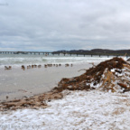 Binz im Januar nach einer Sturmflut (2017)