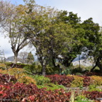 Urlaub auf Madeira