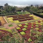 Urlaub auf Madeira