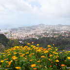 Urlaub auf Madeira