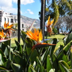 Urlaub auf Madeira